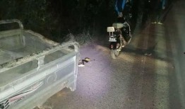 最新爆料车祸事件新闻发布会,最新进展与调查详情揭晓